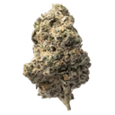 Peak THC-A Exotic Flower 3.5g Jar - GMO Cookies - Hybrid