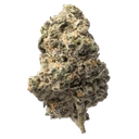 Peak THCA Exotic Flower 3.5g Jar - GMO Cookies - Hybrid