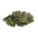 Peak THCA Exotic Flower 3.5g Jar - Super Silver Haze- Sativa