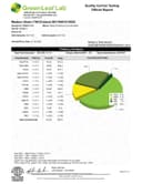 Gas Boys THCA Disposable - 55% - 1g - Alaskan Thunder Fuck - Sativa