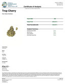 Gas Boys THCA Boutique High Octane Flower - 3.5g - Tropical Cherry - Sativa