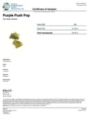 Gas Boys THCA Exotic High Octane Flower - 3.5g - Orange Push Pop - Indica Hybrid