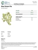 Gas Boys THCA Boutique High Octane Flower - 3.5g - Blue Dream Pie - Hybrid