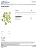 Gas Boys THCA Boutique High Octane Flower - 3.5g - Maui Wowie - Sativa