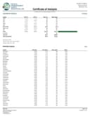 Gas Boys THCA Exotic High Octane Flower - 3.5g - Tangie - Sativa Hybrid