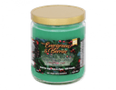 Smoke Odor Candle Year-Round