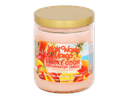 Smoke Odor Candle Year-Round