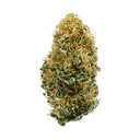 White Widow - Tier 2 Apotheca Hybrid THCA Flower