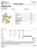 Raspberry Gas - Tier 1 Apotheca Exotic Hybrid THC-A Flower