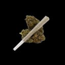 Apotheca THCA 1g Preroll - Lemon Tree