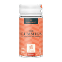 Canvast - Functional Gummies - Yerba Mate - 15ct