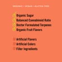 Canvast - Lifters Energy Gummies - CBG / CBD / Yerba Mate - 20mg:10mg:50mg - 15ct