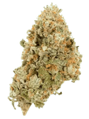 Gelato 41 - Tier 3 Apotheca Signature THCA Flower - 3.5g