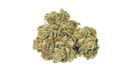 Maui Wowie - Tier 3 Apotheca Signature Sativa THCA Flower - 3.5g