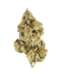 Frosted Pound Cake – Tier 1 Apotheca Exotic Indica THCA Flower