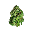 Pure Roots Botanicals Organic THCA Flower - Monkey Breath - Hybrid - 3.5g