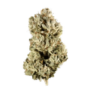 Sex Panther OG - Tier 1 Apotheca Exotic THCA Flower - Indica - 1g/3.5g