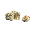 Mendo Purple - Tier 3 Apotheca THCA Signature Flower Hybrid - 3.5g