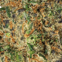 Eden Exotic THCA Flower - OMG - Hybrid - 3.5g