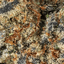 Eden Exotic THCA Flower - Astro - Sativa - 3.5g