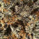 Eden Exotic THCA Flower - Peanut Butter Truffle - Hybrid - 3.5g