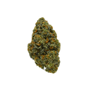 Pure Roots Botanicals Organic THCA Flower - Gelato Sorbet - Indica - 3.5g