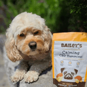 Bailey's CBD Dog Yummies - Medium Breed - Calming - PB & Banana - 30ct - 90mg