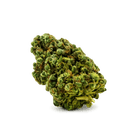 Pure Roots Botanicals Organic THCA Flower - Tangerine Dream - 3.5g