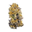 Banana Punch - Tier 3 Apotheca THCA Signature Flower - Hybrid - 3.5g
