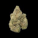 WNC CBD Exotic THCA Flower - Ruthless Runtz - Hybrid