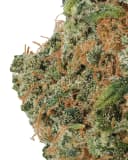 WNC CBD Exotic THCA Flower - Colombian Gold - Sativa