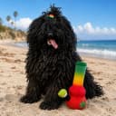 Paw:20 Bo da Bong 420 Dog Toy
