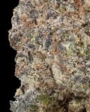 WNC CBD Exotic THCA Flower - Animal Cookies - Indica - 3.5g