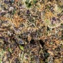 Eden Exotic THCA Flower - King Louis XIII - Indica - 3.5g
