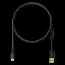 Pulsar USB-C Charging Cable