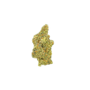 Purple Panty Dropper - Tier 1 Apotheca Exotic Indica THCA Flower