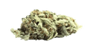 Blue Guava - Tier 2 Apotheca THC-A Sativa Flower