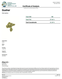 Gusher - Tier 1 Apotheca Exotic Hybrid THC-A Flower