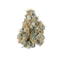 Gary Payton - Tier 1 Apotheca Exotic Indica THCA Flower - 3.5g