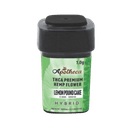 Lemon Pound Cake - Tier 1 Apotheca Exotic Hybrid THC-A Flower