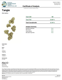 Apotheca Exotic THC-A Flower - Tangie - Sativa