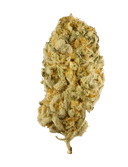 Jack Herer - Tier 1 Apotheca Exotic Sativa THC-A Flower