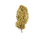 Jack Herer - Tier 1 Apotheca Exotic Sativa THCA Flower - 1g / 3.5g