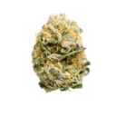 Forbidden Runtz - Tier 1 Apotheca Exotic Indica THCA Flower - 3.5g