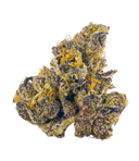 Gush Mintz - Tier 1 Apotheca Exotic Indica THC-A Flower