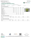 DayTripper Mushroom Gummies - 10ct