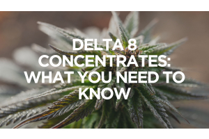 Delta 8 Concentrates: What You Need to Know