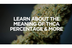 Learn About the Meaning of THCA Percentage