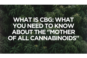 What is CBG: What You Need to Know About the "Mother of All Cannabinoids"