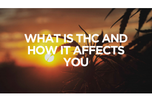 What is THC and How It Affects You